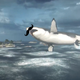 Image for article titled Kotaku 'Shop Contest: Hide The Megalodon: The Winners!